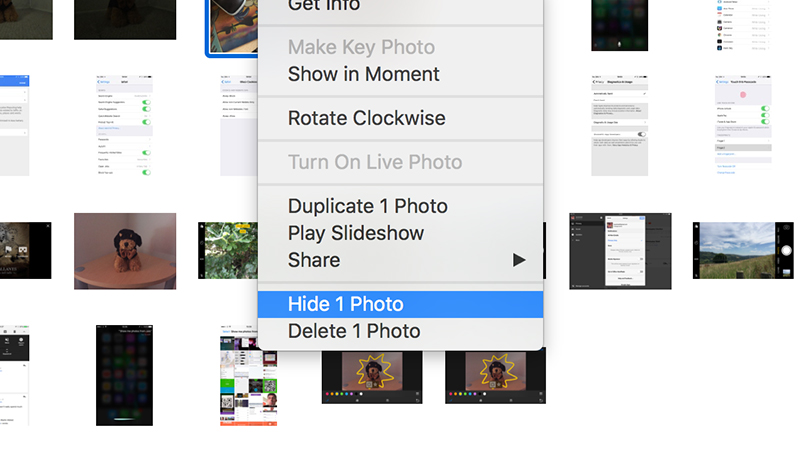 Illustration for article titled 10 Tricks to Make Yourself an Apple Photos Master